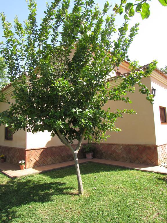 Casa Rural Oregano Кармона Екстериор снимка
